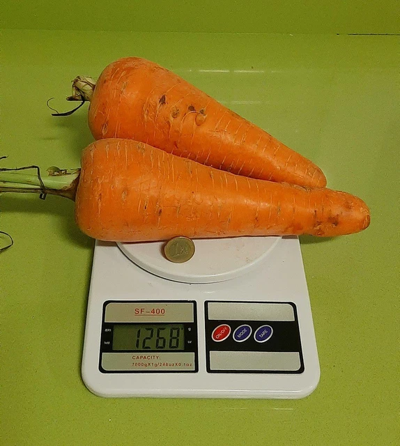 Semillas Tomate Gigante Tigerella 50 Semillas | Cuotas Sin Interés - Foto 7