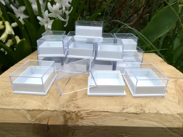 20 Small Perspex Clear Lid Crystal Fossil Display Boxes Black /White Bases/Pads 3