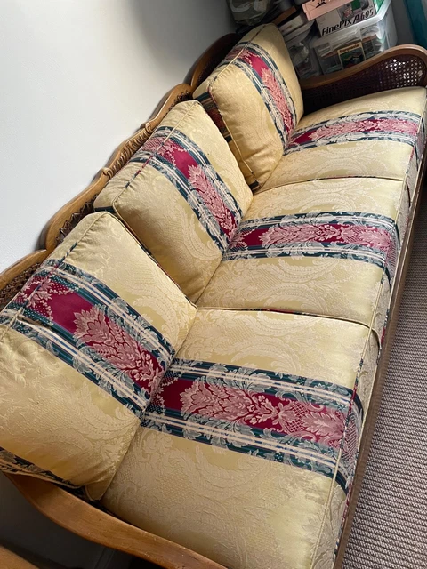 Antique - Art Deco Mahogany Bergere Suite - Sofa & Two Chairs