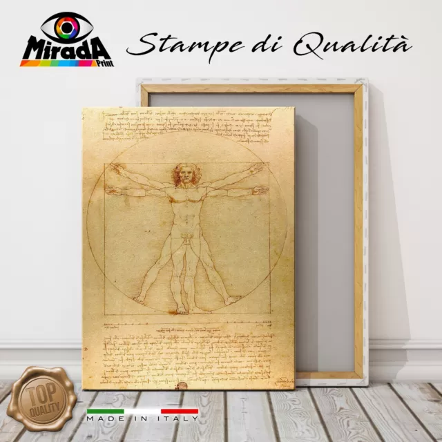 QUADRO Leonardo da Vinci Uomo Vitruviano  STAMPA TELA CANVAS corpo umano cerchio