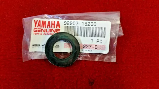 Yamaha TZ250 96-10 Rear Arm Spindle Washer. Genuine Yamaha New B41a