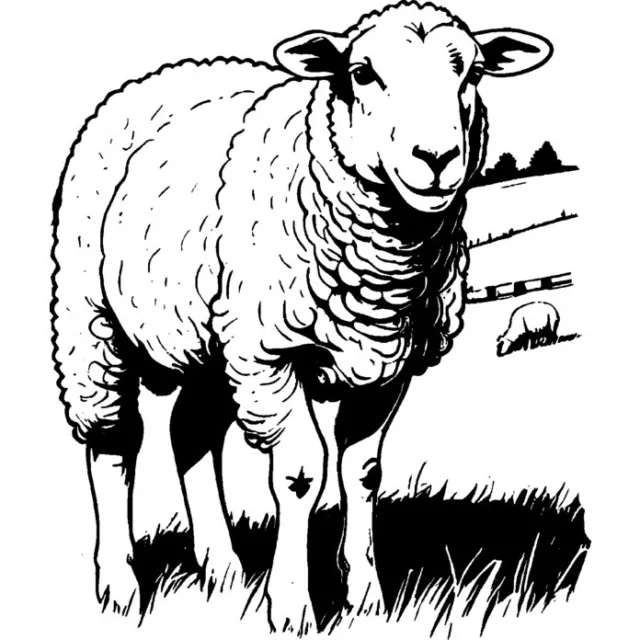 'Schafe grasen auf einer Weide' Stempel (Unmontiert) (RS045113)