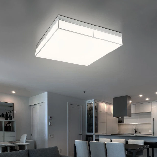 NETTLIFE Plafonnier LED Salon Blanc Dimmable Moderne 57CM avec