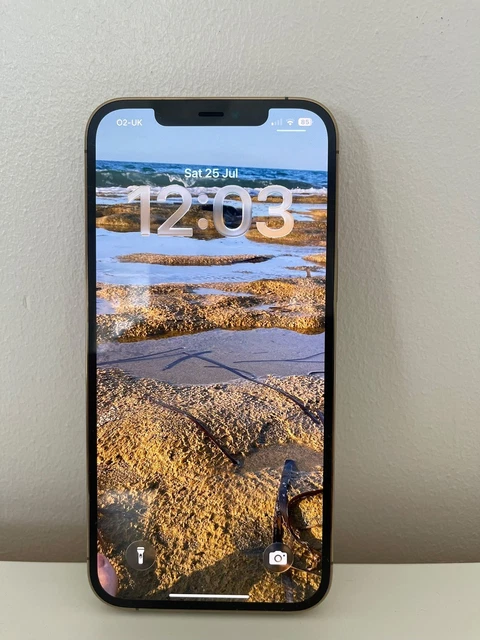 IPHONE 12 PRO Max 256GB Gold brand new fully working $724.25