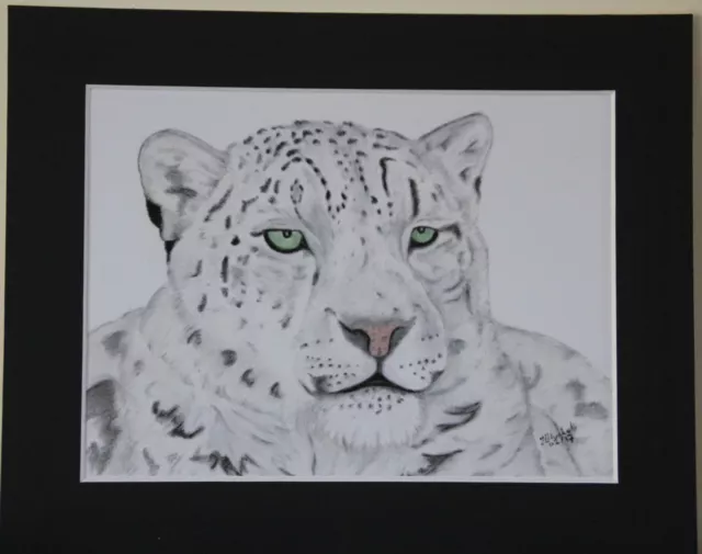 Snow Leopard Pastel Original Drawing mounted to 8x10 inches or Print variations 3