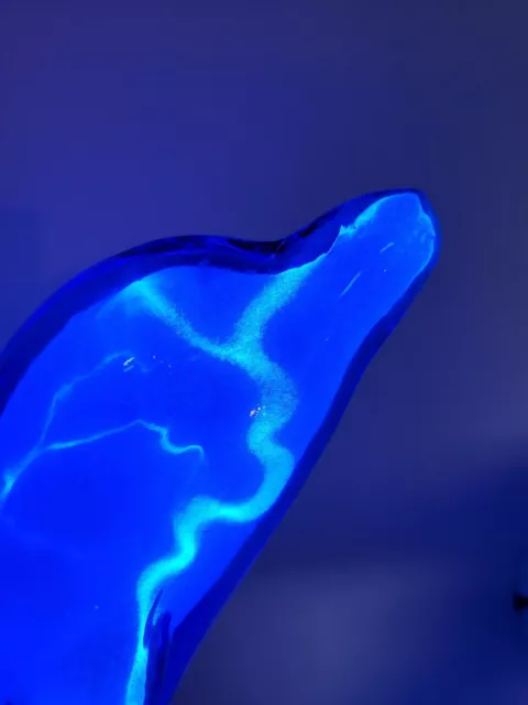 Blue Dolphin Plasma Neon Art Lamp Base Depicts Ocean Waves Gray Fish Salt Life