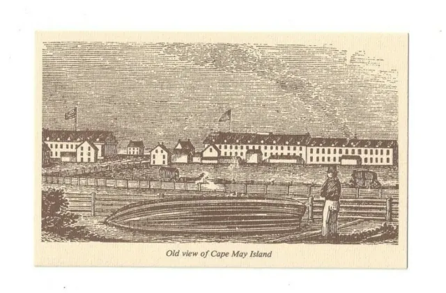 Vintage Postcard Old View of Cape May Island New Jersey Museum Reproduction