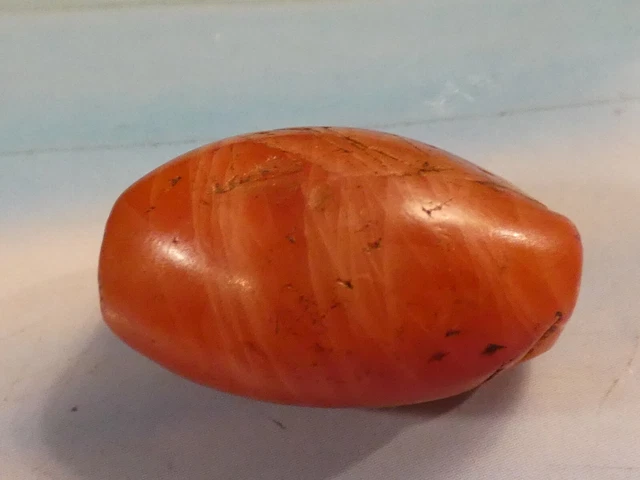 Ancient Indo Tibetan Red Pema Raka Heirloom Banded Bead 24.7-15.5-14.7 Mm Ancient Indo Tibetan Red Pema Raka Heirloom Banded Bead 24.7-15.5-14.7 Mm