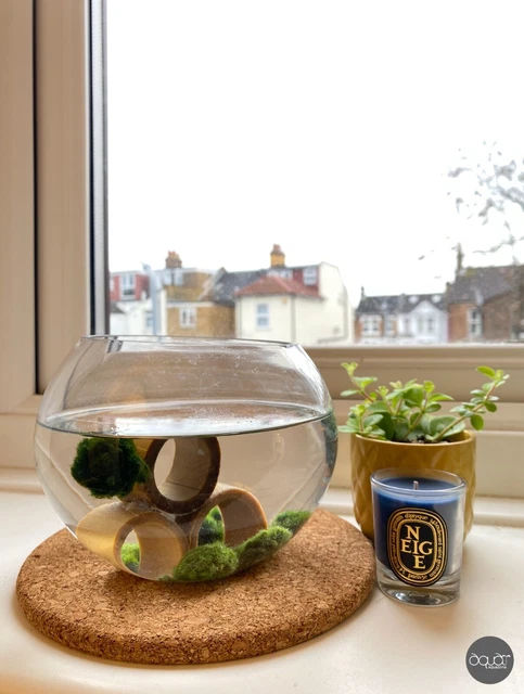 Aquazona DIY SET - Mini Aquarium Fish Tank Marimo Moss Ball Bamboo Shelter 10cm
