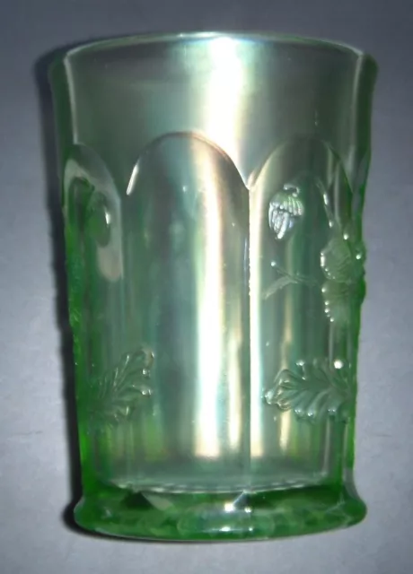 Oriental  Poppy Tumbler--scarce ice green color..old age..Northwood-vintage carn