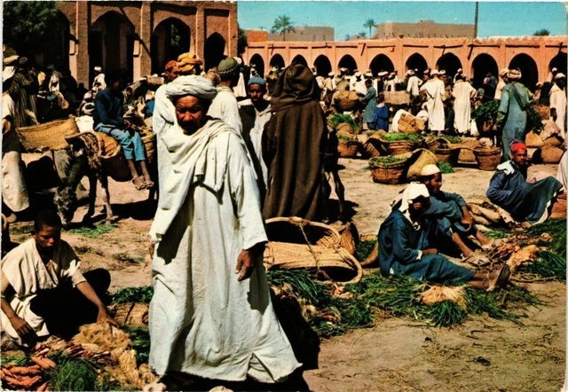 CPM AK MOROCCO - Typique RISSANI-March Original (328832)