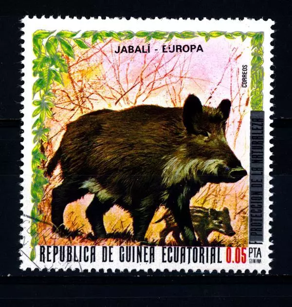EQUATORIAL GUINEA - GUINEA EQUATORIALE - 1976 - Cinghiale