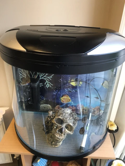 3ft fish tank used