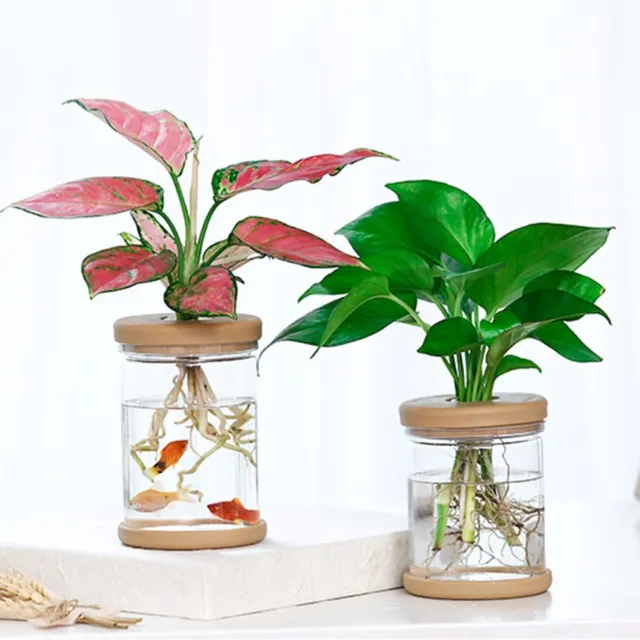 Pratico vaso per piante vaso per animali domestici vaso idroponico per fiori piante plastica 2 pz 12
