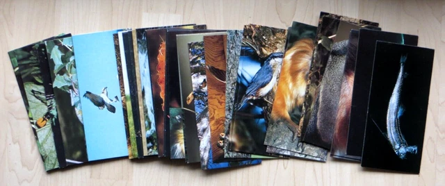 40 Cartes Merveilles Du Monde Nestle Annees 1980