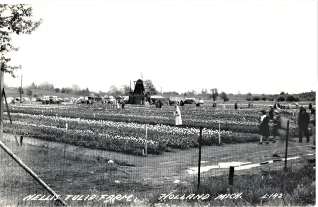 VINTAGE POSTCARD NELLIS TULIP FARM HOLLAND MICHIGAN REAL PHOTO CARD c. 1940 OLD
