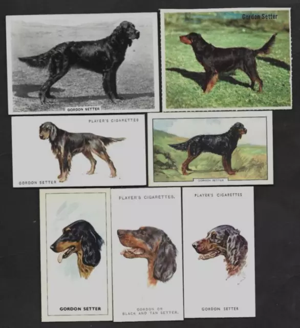 7 Different Vintage GORDON SETTER Tobacco/Cigarette/Tea Dog Cards Lot
