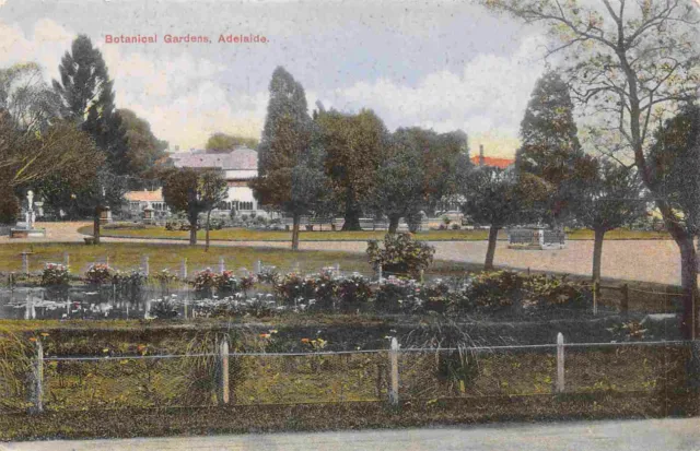 Botanical Gardens Adelaide South Australia 1911 postcard