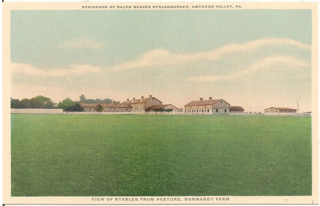 View of Stables From Pasture, Normandy Farm, Gwynedd Valley PA Postcard