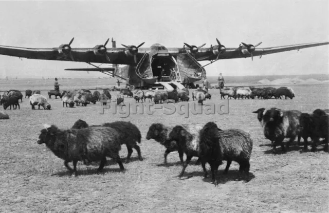 WW2 Picture Photo Me 323 The Giant German Aircraft  3493