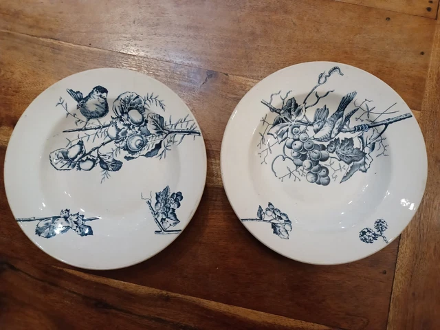 Lot De 2 belles Assiettes Creuses Terre De Fer HB Et Cie Oiseaux Et Fruits Bleus