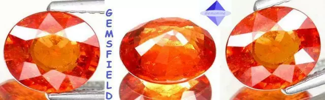 SI - 2.00cts !!! SPESSARTITE NATURELLE de NAMIBIE !!! poli AAA++ !!!