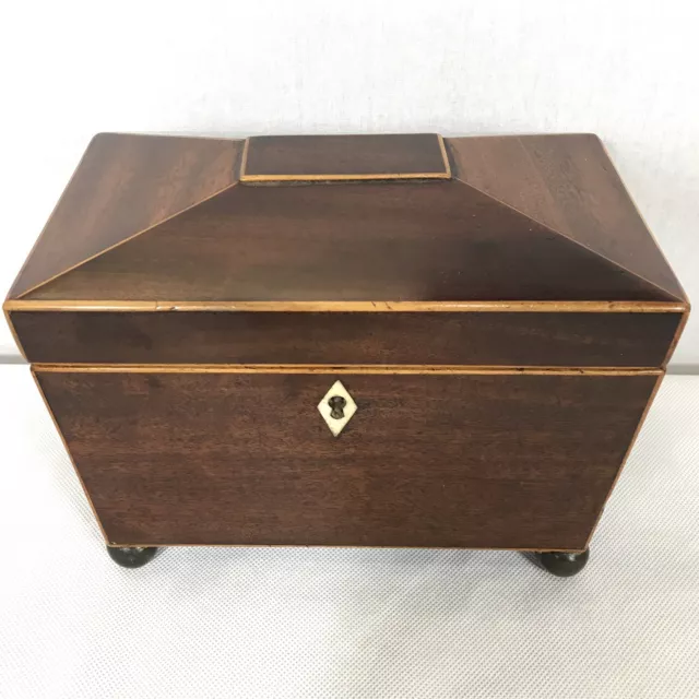 Antique Regency Mahogany Satinwood Inlaid Brass Mounted Two Section Tea Caddy