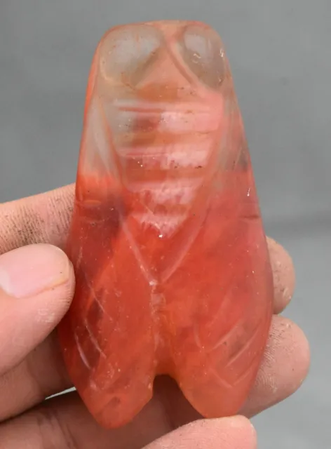 2.8" Old China Hongshan Culture Red Crystal Carved Animal Cicada Amulet Pendant