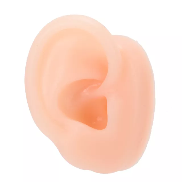 Silicone Ear Model Simulation Artificial Human Right Ear Display Model For H HEN
