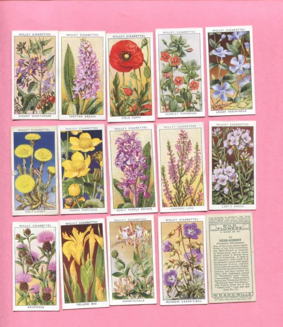 1936 W.d. & H.o. Will's Cigarettes Wild Flowers 1St Series 50 Collector Card Set