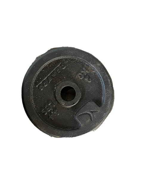 1-Inch Classic Cast Iron Weight Plate 2kg/4.4lb, Single Black