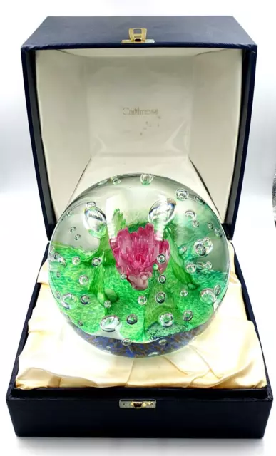 Caithness glass double magnum '98 large paperweight designed by Franco Toffolo