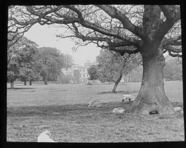 GWW Glas magische Laterne Rutsche HAWARDEN CASTLE AUS THR PARK C1890 CHESTER UK