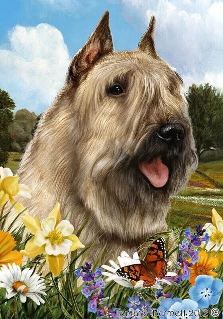 Summer Garden Flag - Fawn Bouvier des Flandres 184131