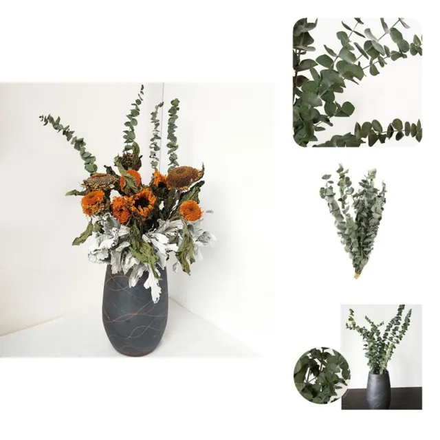 10 piezas/ramo de hojas secas ecológico eucalipto vívido flor verde regalo