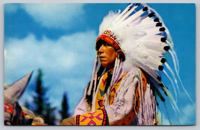 North American Indian Chief Yellowface, Vintage Mike Roberts Kodachrome Postcard