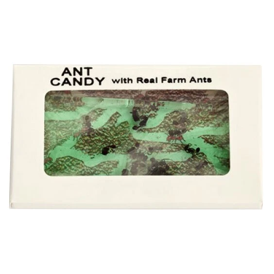 HOTLIX ANT CANDY Real Farm Ants Insects Apple Flavor Sugar Free Hard