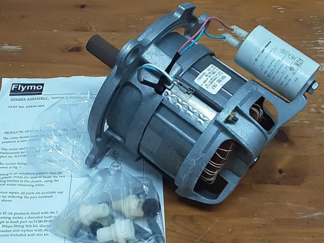 Flymo motor repair 2025