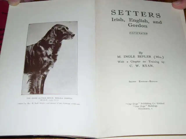 Rare Setter Dog Book By Ingle Bepler 1937 Irish, English, Gordon