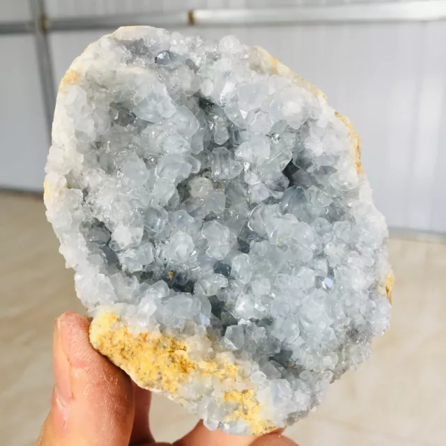 408G Natural Blue Celestite Geode Quartz Crystal Mineral Specimen  N39
