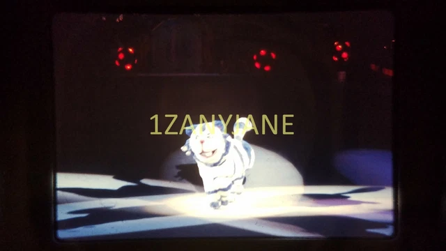 AN01 VINTAGE 35mm SLIDE TRANSPARENCY Photo SKATERS TIGER COSTUME AT ICE CAPADES