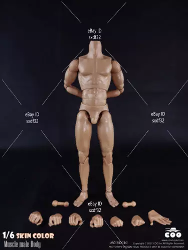 COOMODEL BD010 1/6 Scale Male Muscle Body Model Doll  Action Figure Toys