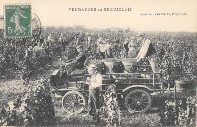 Cpa 71 Les Vendanges En Beaujolais