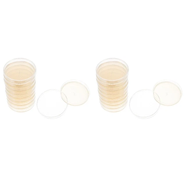 20 Pcs Lab Dish Nutrient Agar Plate Kids' Party Supplies Cover