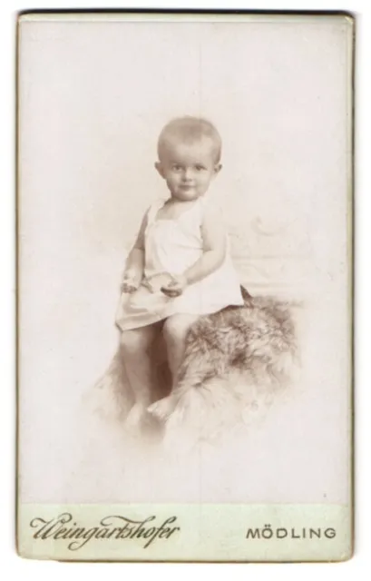 Fotografie Weingartshofer, Mödling, Hauptstr. 79, Portrait Kleinkind im weißen