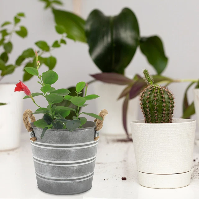 115PCS pianta succulenta lampadina blocchi di costruzione