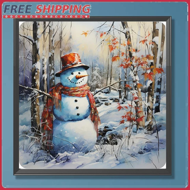 Paint By Numbers Kit DIY Oil Art Snowy Land Picture Home Wall Decor 40x40cm