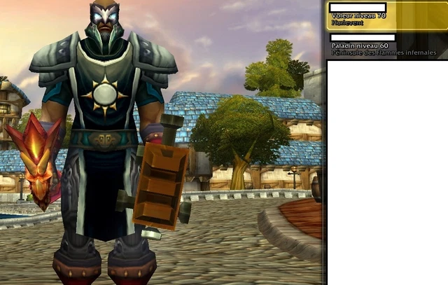 Compte WoW Classic / TBC - Paladin 60 Stuff MC/BWL/ZG