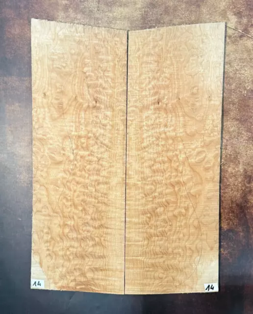 Muschelahorn Droptop 4A |  Quilted Maple Droptop 4A | Tonholz | Tonewood | #14