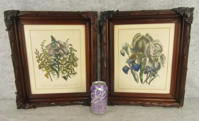 Antique Pair Botanical Floral Iris Print Wood Carved Folk Art Deep Well Frames 2